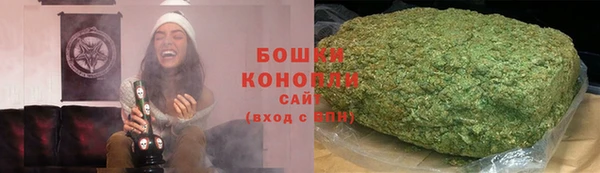 гидра Белоозёрский
