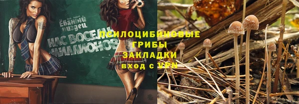 гидра Белоозёрский