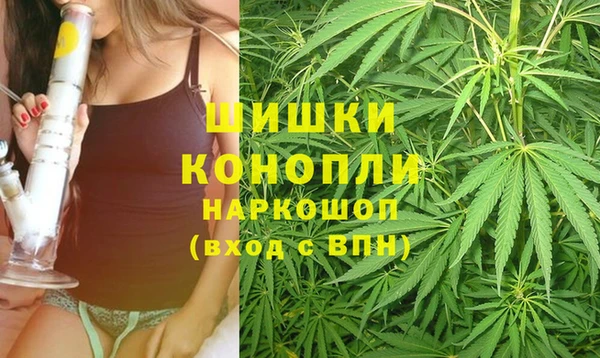 гидра Белоозёрский