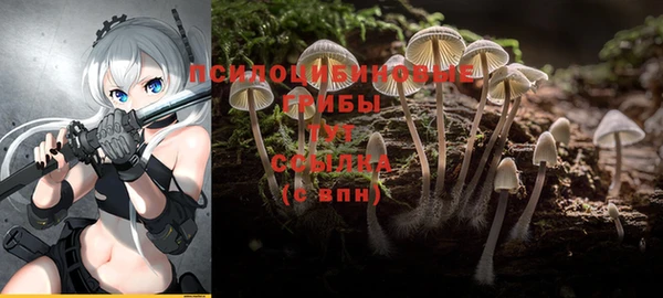 ПСИЛОЦИБИНОВЫЕ ГРИБЫ Беломорск