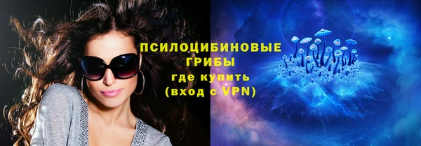 эйфоретик Белокуриха