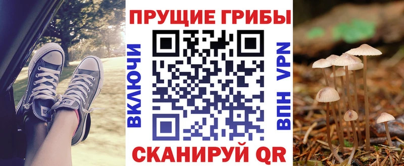 Купить закладки  Мценск  Псилоцибиновые грибы мухоморы 